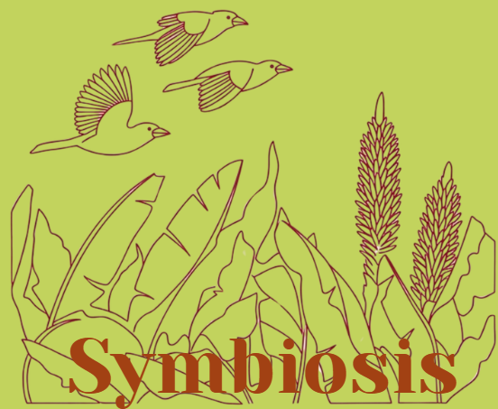 Symbiosis illustration